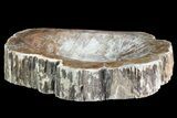 Polished Madagascar Petrified Wood Dish - Madagascar #83066-2